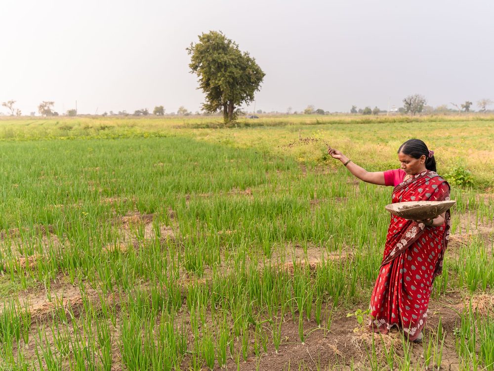 A woman farmer in a red saree broadcasting seed across a field near Nagpur